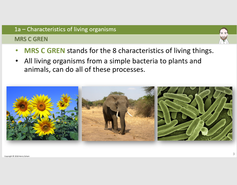 1.1 Characteristics of Living Organisms